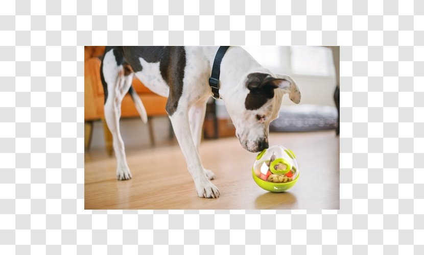 Dog Breed Puppy Toys Pet - PLAY Transparent PNG