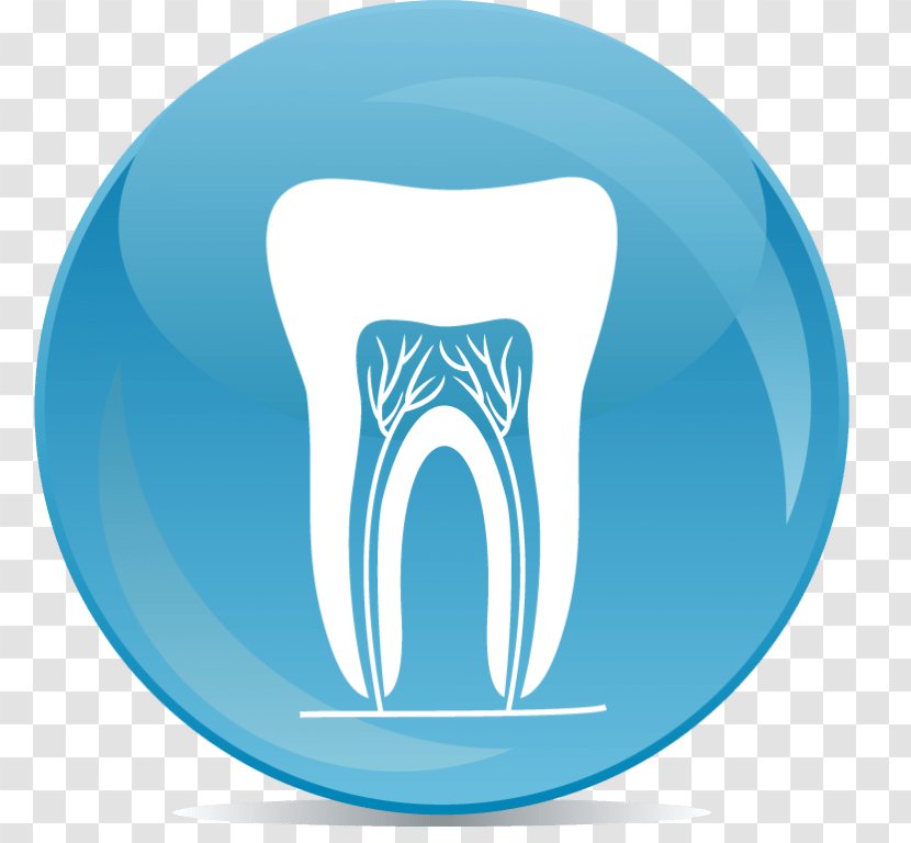 Dentistry Nicolas Manolo P DDS Clinic Tooth - Flower - Health Transparent PNG