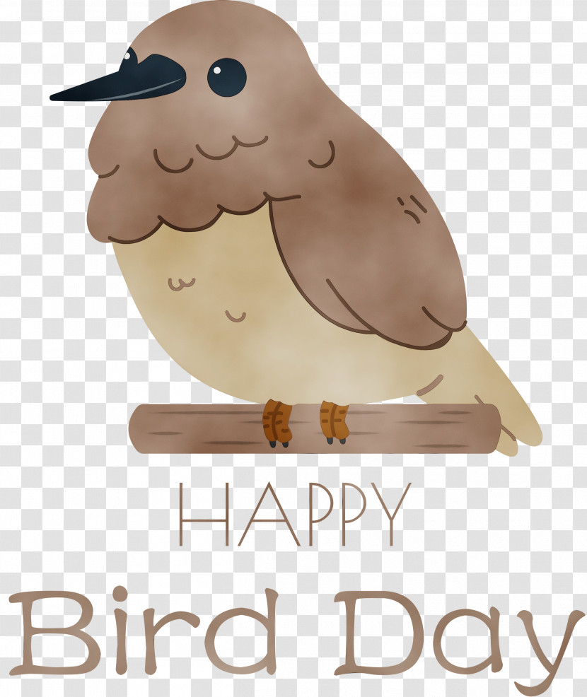 Bird Of Prey Beak Birds Meter Font Transparent PNG