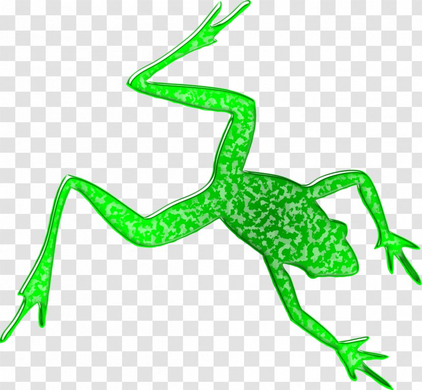 Frog Silhouette Clip Art - Royaltyfree - Amphibian Transparent PNG