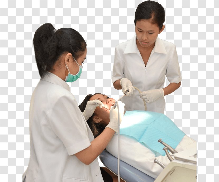 Clinic Dentist Diana Dental Care Physician Assistant Therapy - Dentistry - Excecutive Transparent PNG