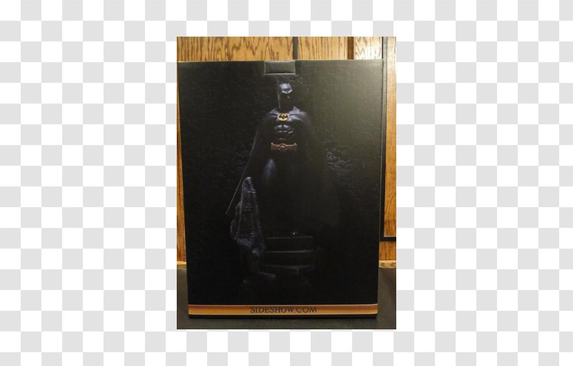Poster - Catwoman Sideshow Transparent PNG