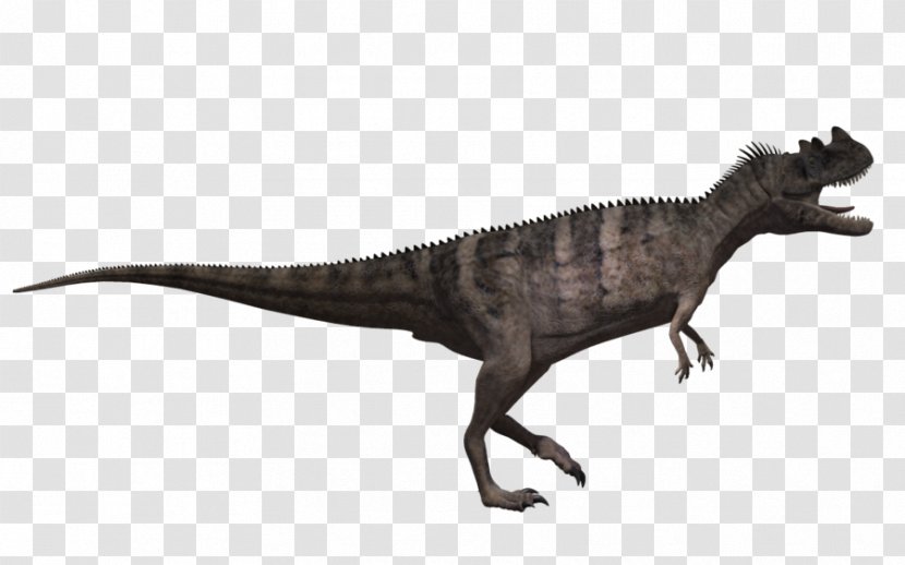 Tyrannosaurus Velociraptor Fauna Animal - Extinction - Ceratosaurus Pattern Transparent PNG