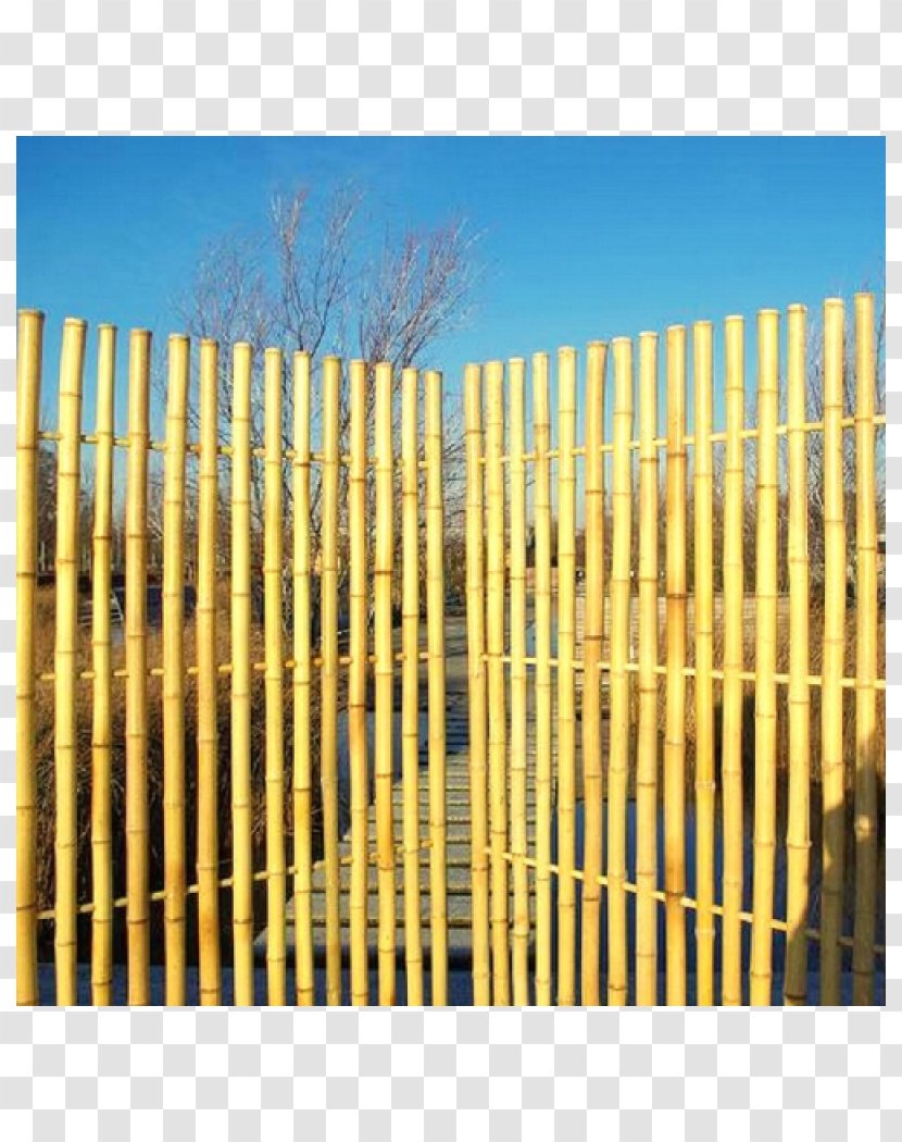 Picket Fence Garden Bamboo Frame And Panel Bambou - Partition Wall Transparent PNG