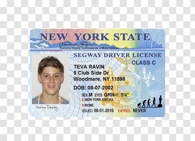 New York City Commercial Driver's License Identity Document - Driving Transparent PNG