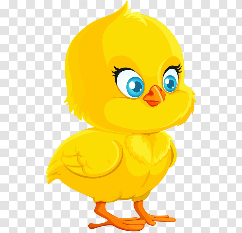Chicken Cartoon Royalty-free Drawing - Stock Photography - Yellow Chick Transparent PNG