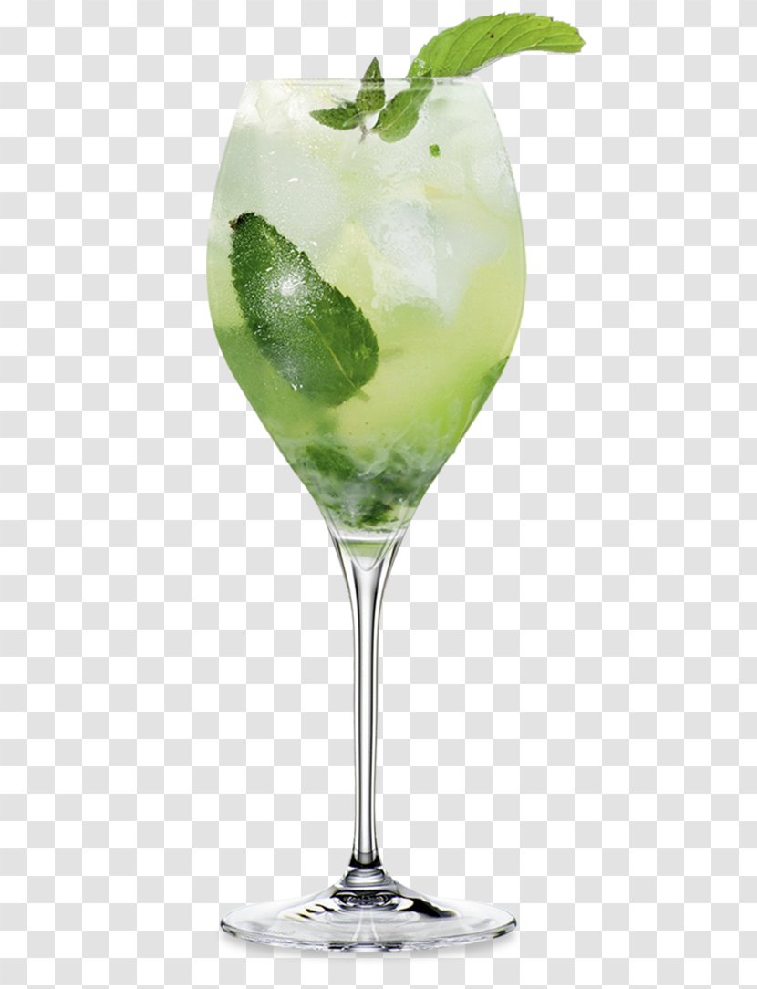Cocktail Garnish Mojito Gin And Tonic Mai Tai - Vodka - HUGO Transparent PNG