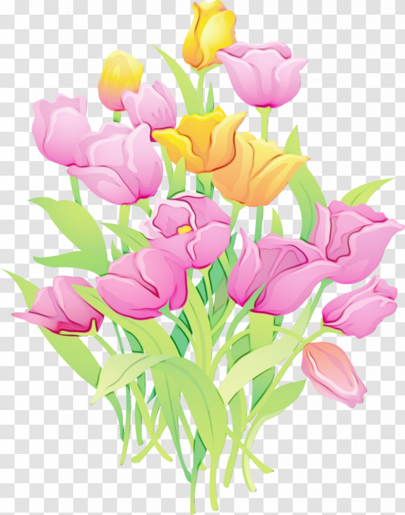 Flower Cut Flowers Petal Pink Plant Transparent PNG