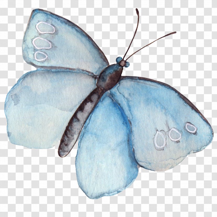 Butterfly Watercolor Painting Clip Art - Pollinator Transparent PNG