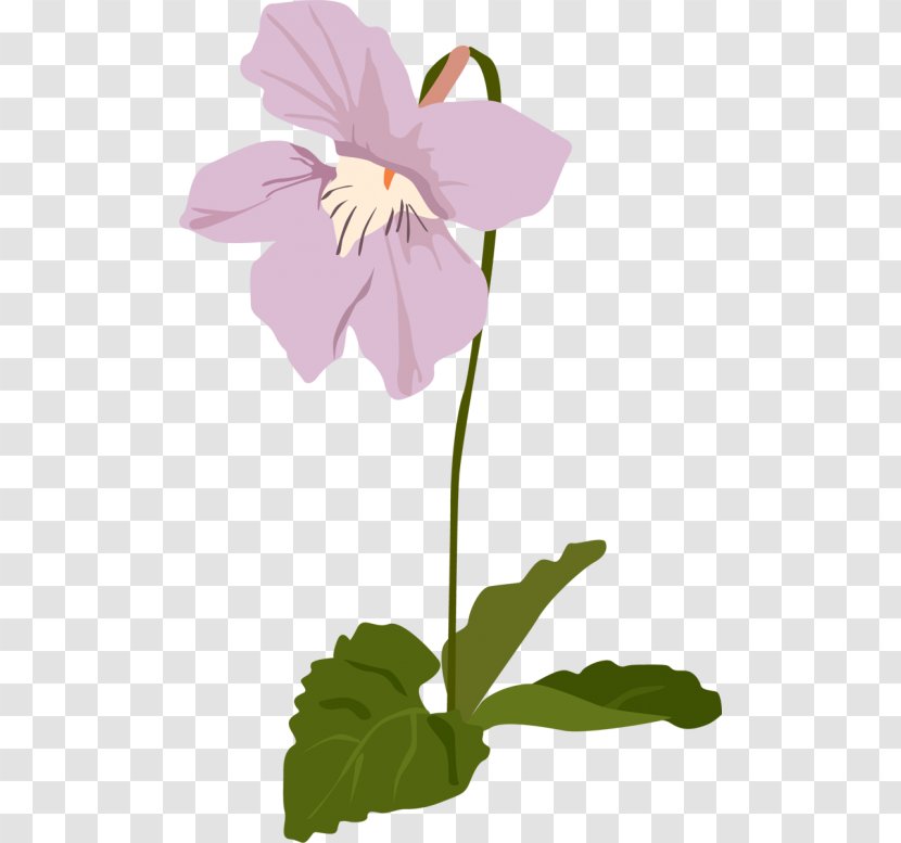 Pansy Mallows Floral Design Clip Art Transparent PNG