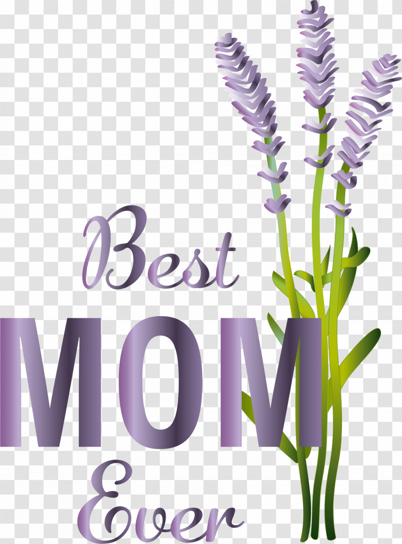 Lavender Transparent PNG