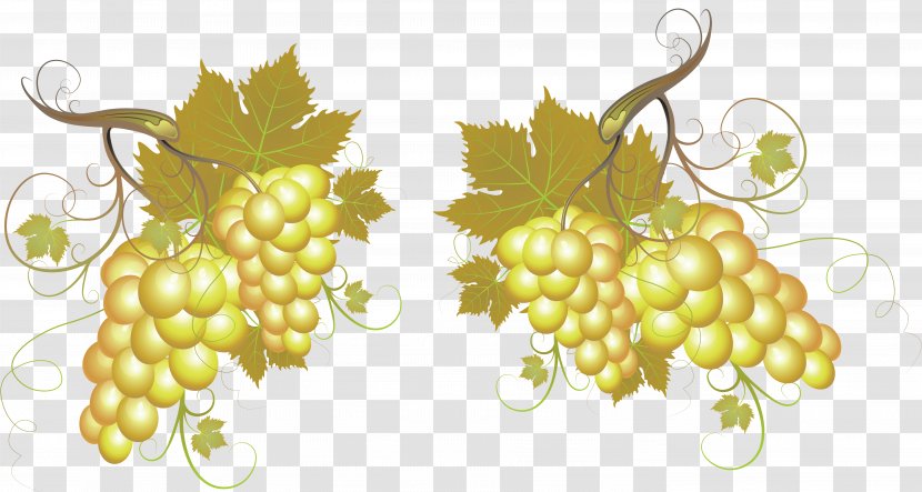 White Wine Beer Common Grape Vine Barrel - Grapes Transparent PNG