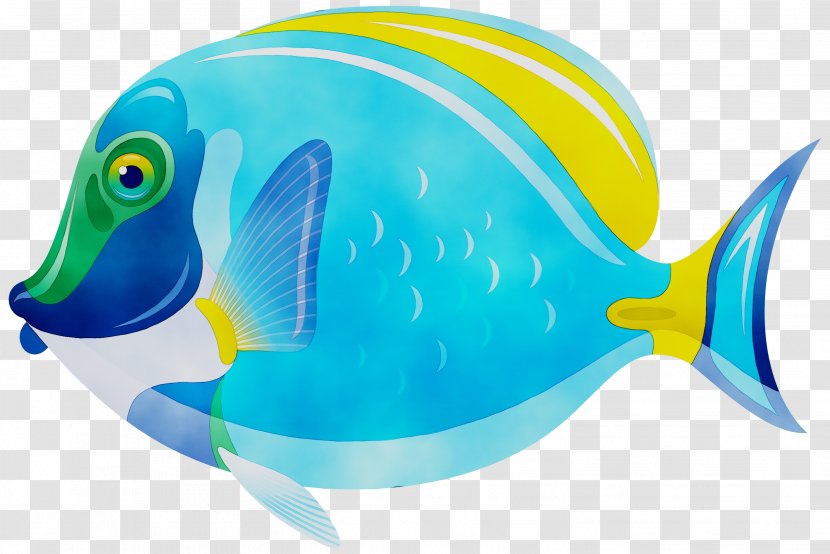 Clip Art Transparency Image Free Content - Coral Reef Fish - Marine Biology Transparent PNG