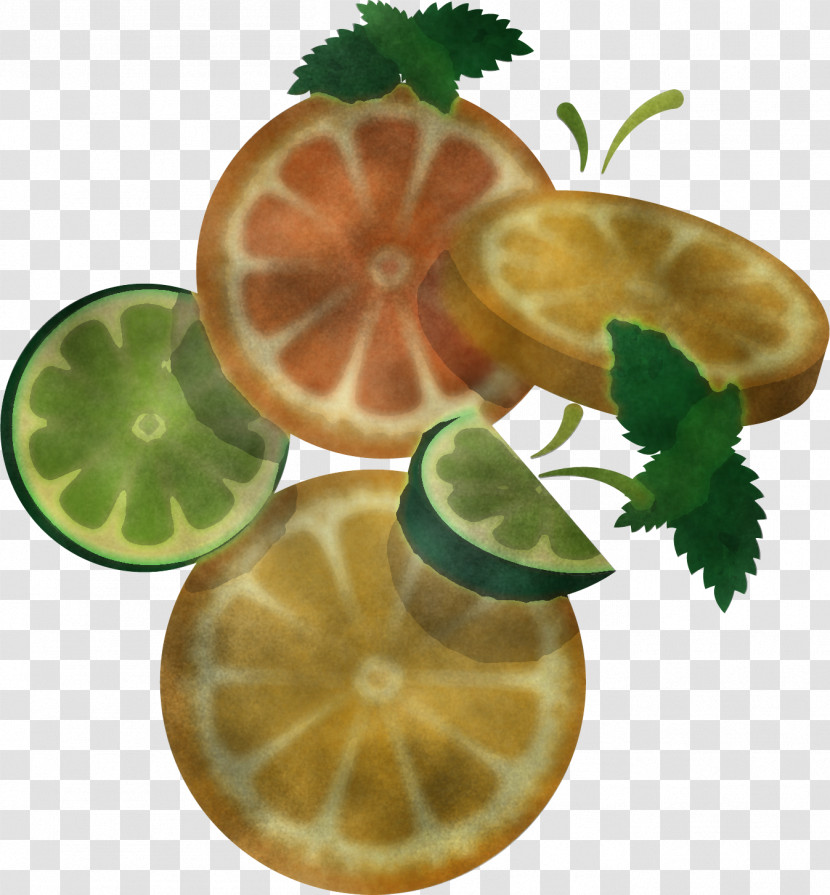 Citrus Leaf Fruit Lime Lemon Transparent PNG