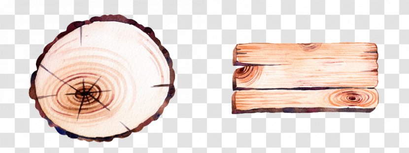 Wood Tree - Grain Effect Element Transparent PNG