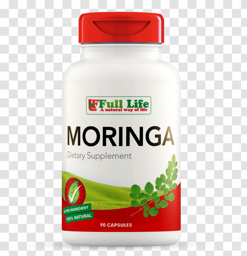 Dietary Supplement Vitamin Rheumatism Pharmacy - Moringa Leaves Transparent PNG