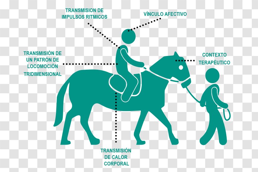 Horse Vector Graphics Clip Art Equestrian Illustration - Heart Transparent PNG