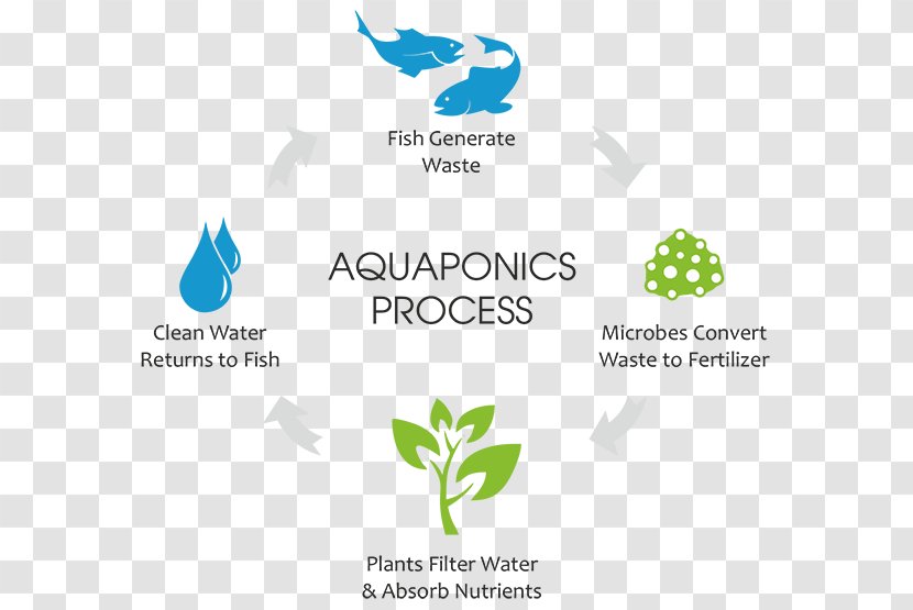 Aquaponics Agriculture Aquaculture Hydroponics Fish Farming - Farm - Text Transparent PNG