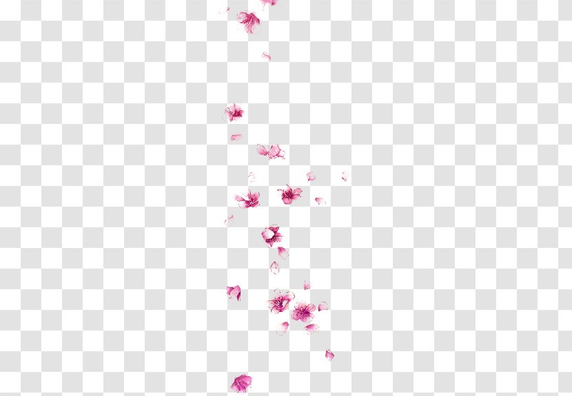 Petal Watercolor Painting - Pink - Peach Petals Flying Transparent PNG