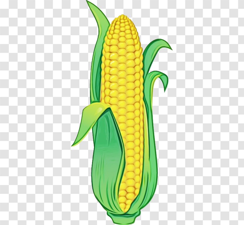 Corn On The Cob Sweet Yellow Vegetarian Food - Grain - Plant Transparent PNG