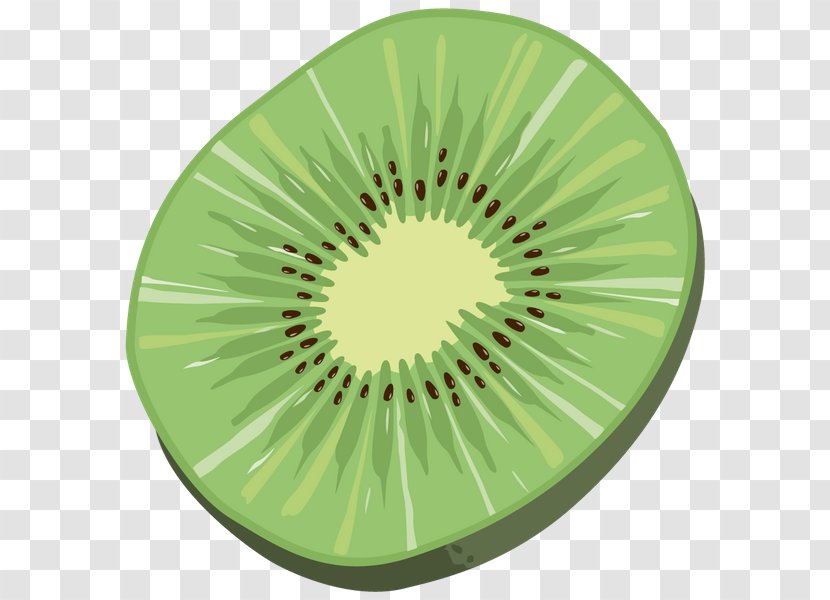 Kiwifruit Drawing Dried Fruit - Vecteur Transparent PNG