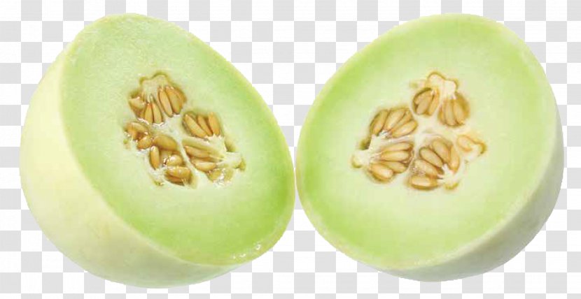Honeydew Galia Melon Cantaloupe Watermelon - Fruit Transparent PNG