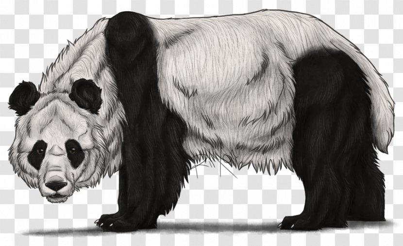 The Giant Panda Bear Drawing Sketch - Red Transparent PNG