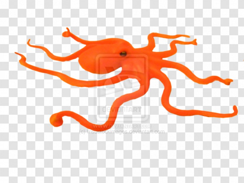 Octopus Marine Invertebrates Cephalopod - Orange - Octapus Transparent PNG