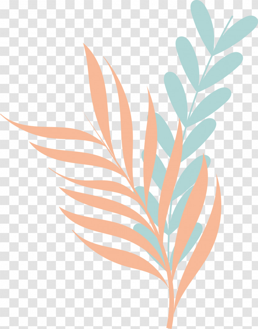 Plant Stem Branch Leaf Flower Line Transparent PNG