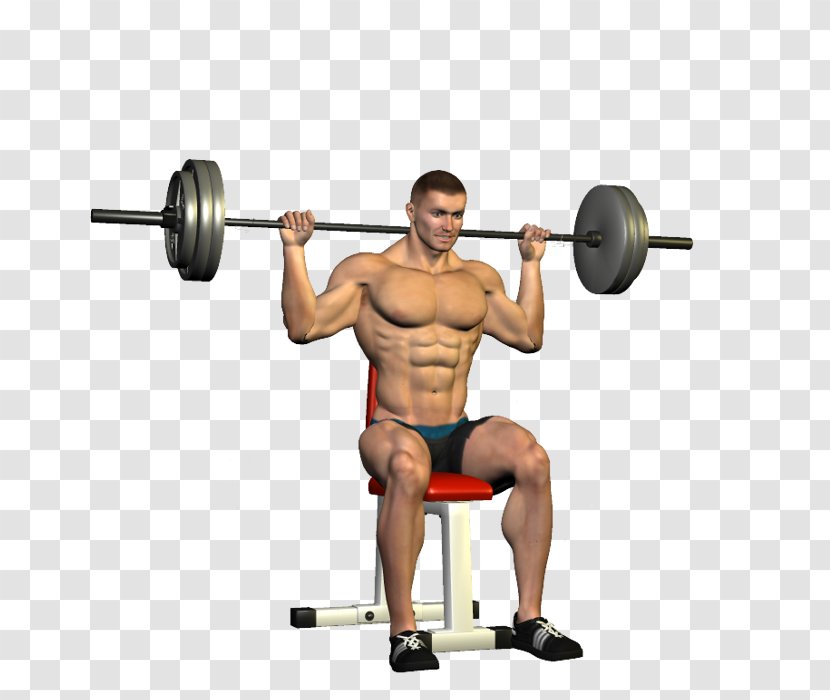 Overhead Press Exercise Barbell Fitness Centre Shoulder - Watercolor Transparent PNG