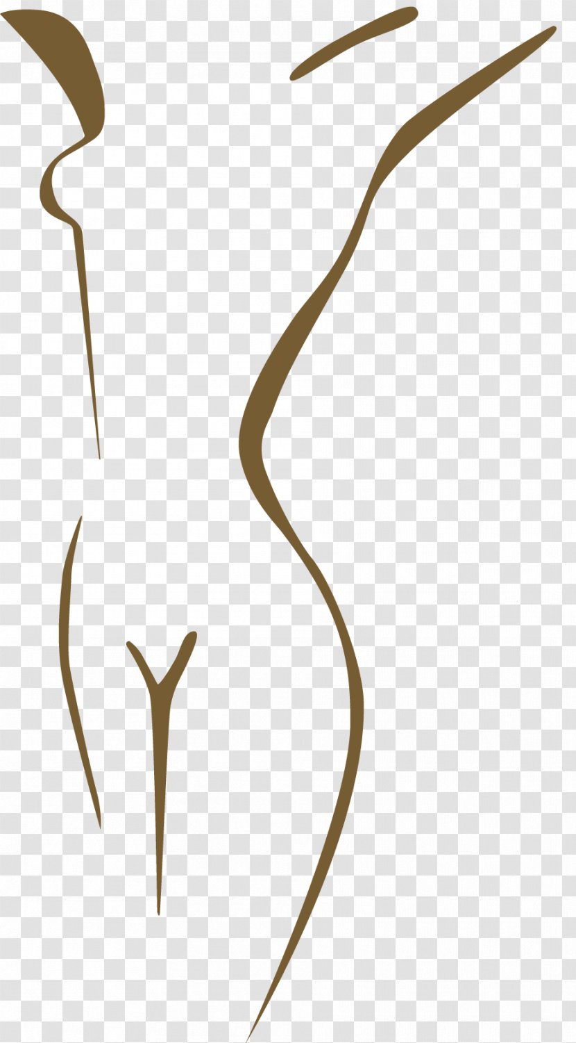 Line Angle Clip Art - Twig Transparent PNG