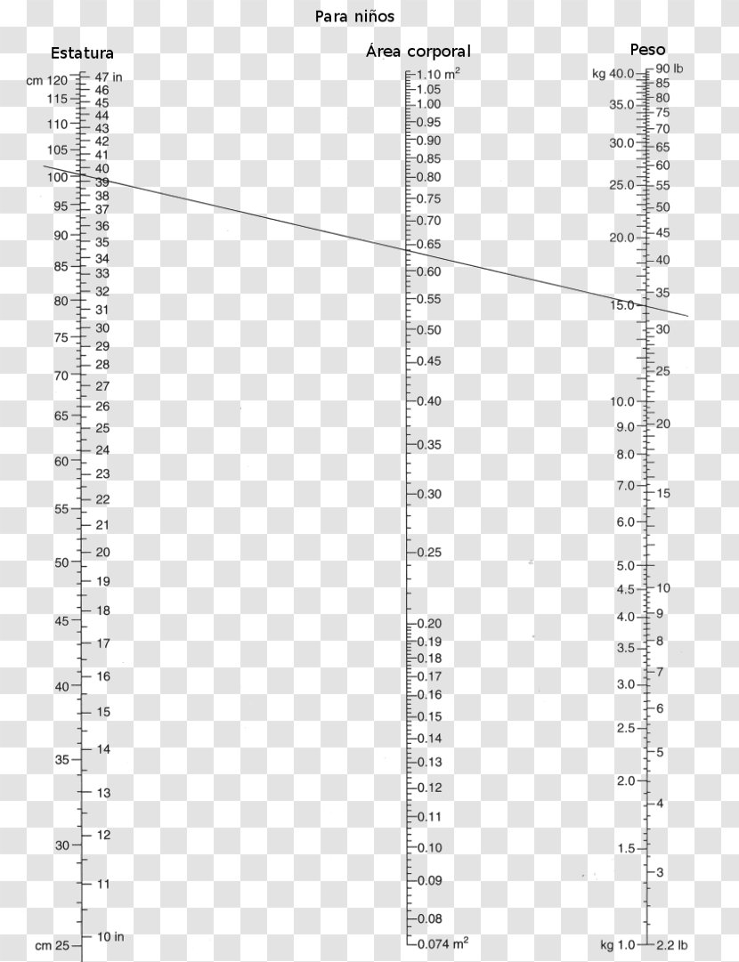 Body Surface Area Nomogram - Pediatrics - Dotted Box Transparent PNG