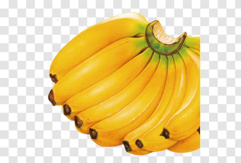 Diet Banana Fruit Auglis - Apple Transparent PNG