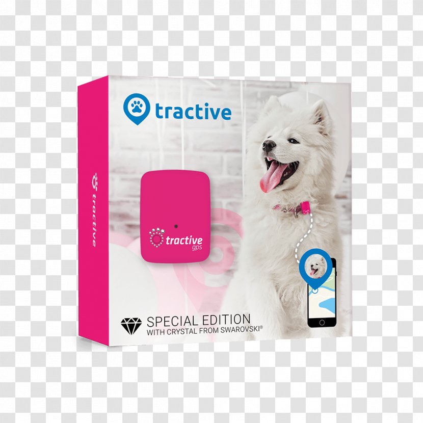 GPS Navigation Systems Tracking Unit Global Positioning System Dog Tractive GmbH - Brand - Special Edition Transparent PNG
