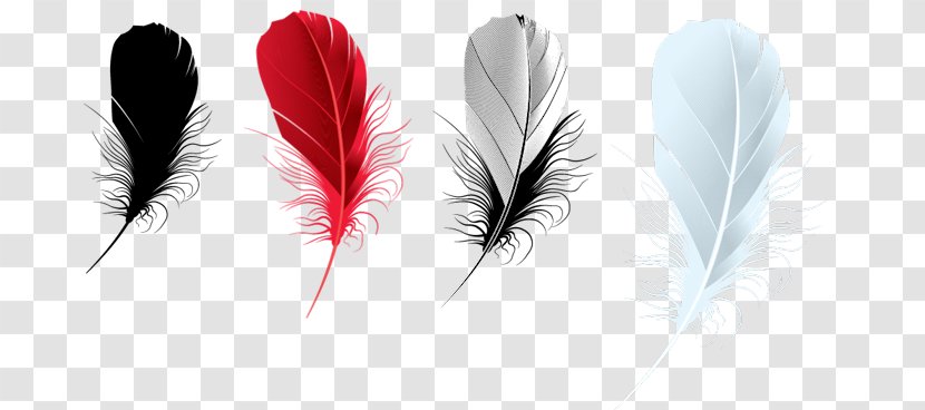 Feather PhotoFiltre Brush - Succulent Plant Transparent PNG