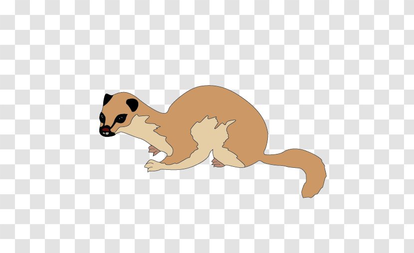 Whiskers Mongoose Cat Canidae The 86 Biggest Lies On Wall Street - Rodent Transparent PNG