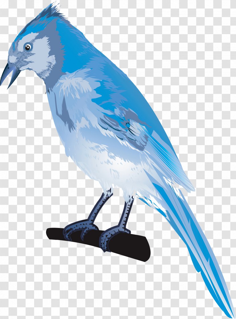 Parrot Lovebird Drawing Illustration - Blue Jay - Hand-painted Sparrow Transparent PNG