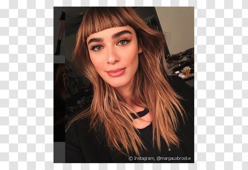 Blond Hair Coloring Feathered Bangs - Tree - Shaggy Transparent PNG