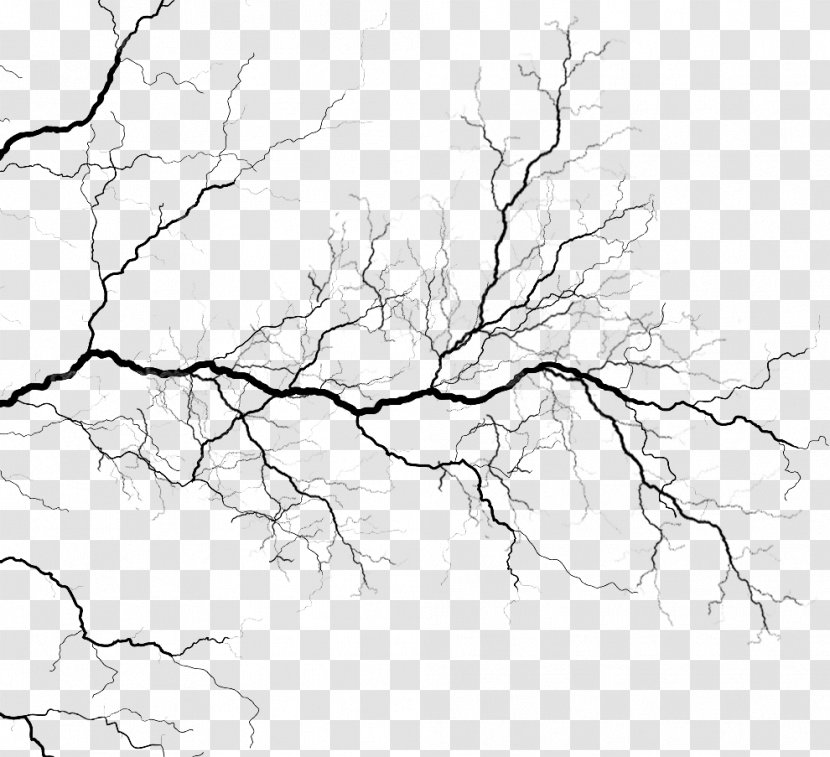 Vein Circulatory System Blood Vessel Heart - Twig - Neck Bloodstain Transparent PNG