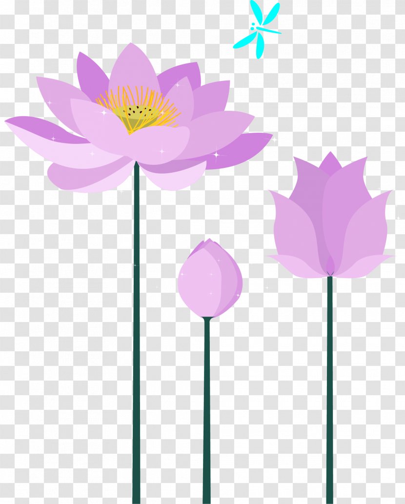 Purple - Lotus Transparent PNG