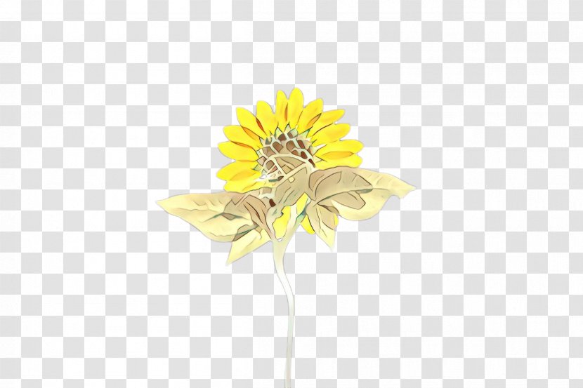 Flowers Background - Gerbera - Artificial Flower Daisy Family Transparent PNG