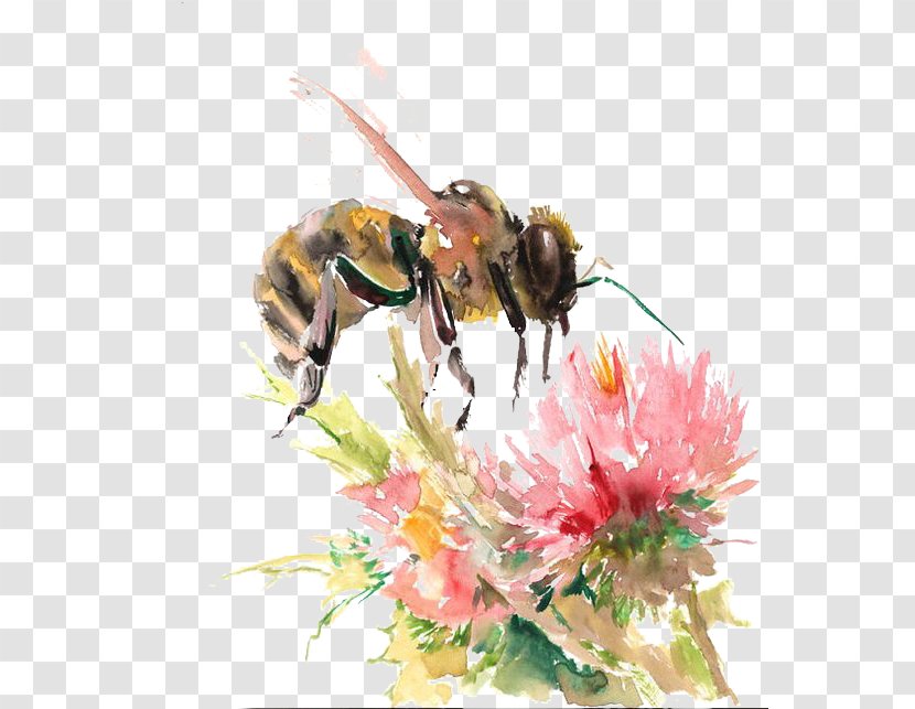 Bee Watercolor: Flowers Watercolor Painting Drawing - Flower Transparent PNG