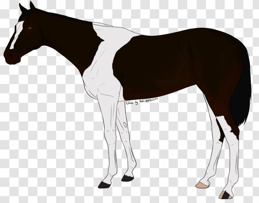 Mustang Stallion Foal Mare Colt - Horse Transparent PNG