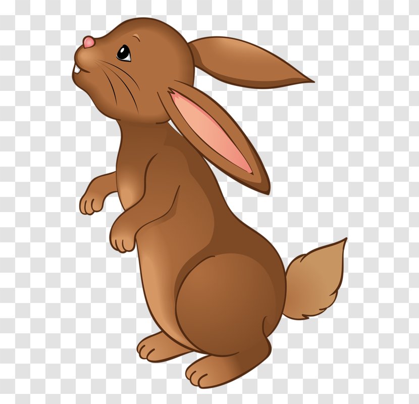 Easter Bunny Leporids European Rabbit Clip Art - Organism - Greedy Transparent PNG