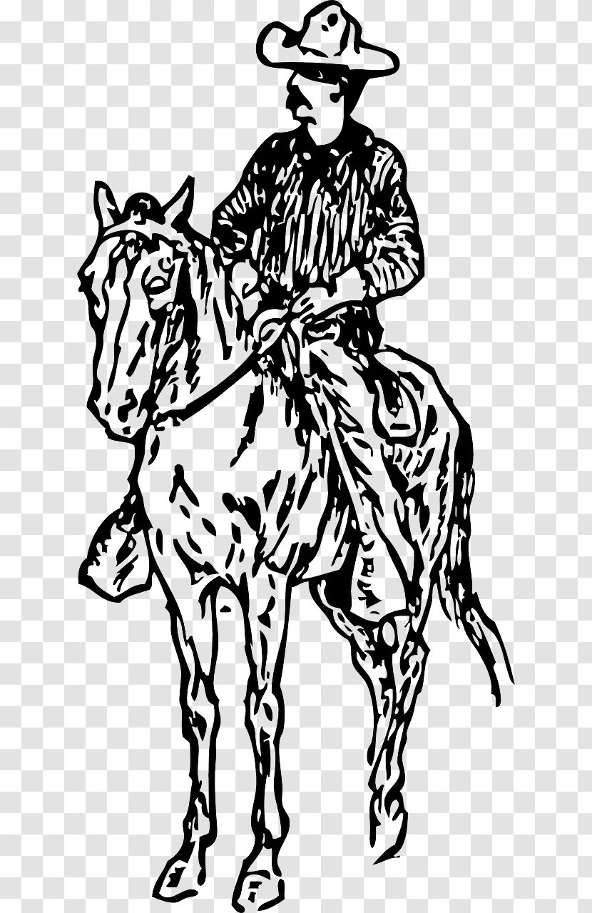 Horse Equestrian Drawing Cowboy Clip Art Transparent PNG