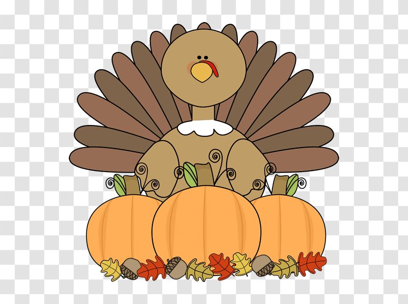 Turkey Thanksgiving Pilgrim Clip Art - Flower Transparent PNG