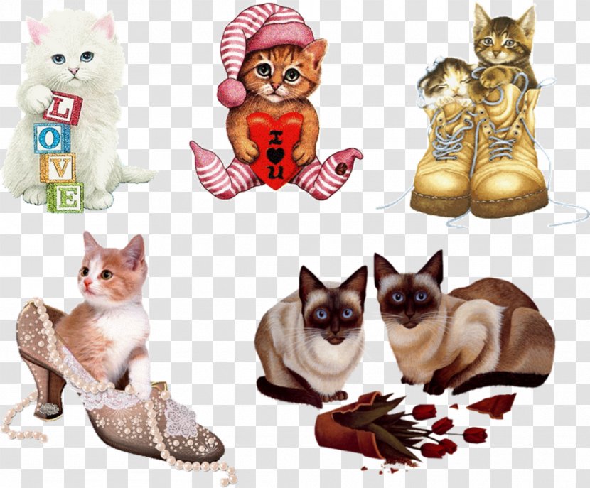 Cat GIF Kitten Clip Art Image - Giphy Transparent PNG
