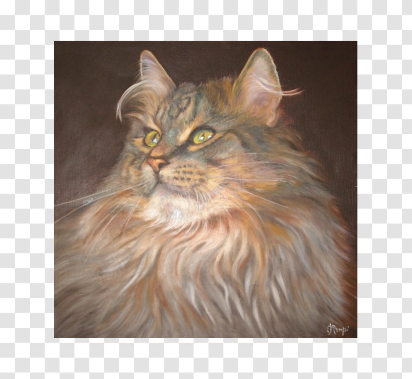 Maine Coon Norwegian Forest Cat Persian Asian Semi-longhair Whiskers - Painting Transparent PNG