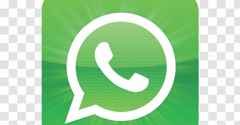 WhatsApp Android - Text - Whatsapp Transparent PNG
