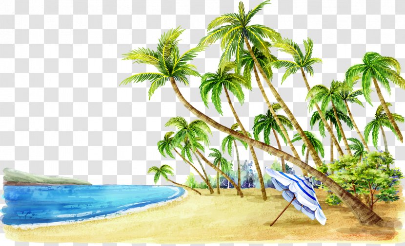 Beach Watercolor Painting Fukei Coconut Landscape - Trees On The Edge Of Transparent PNG
